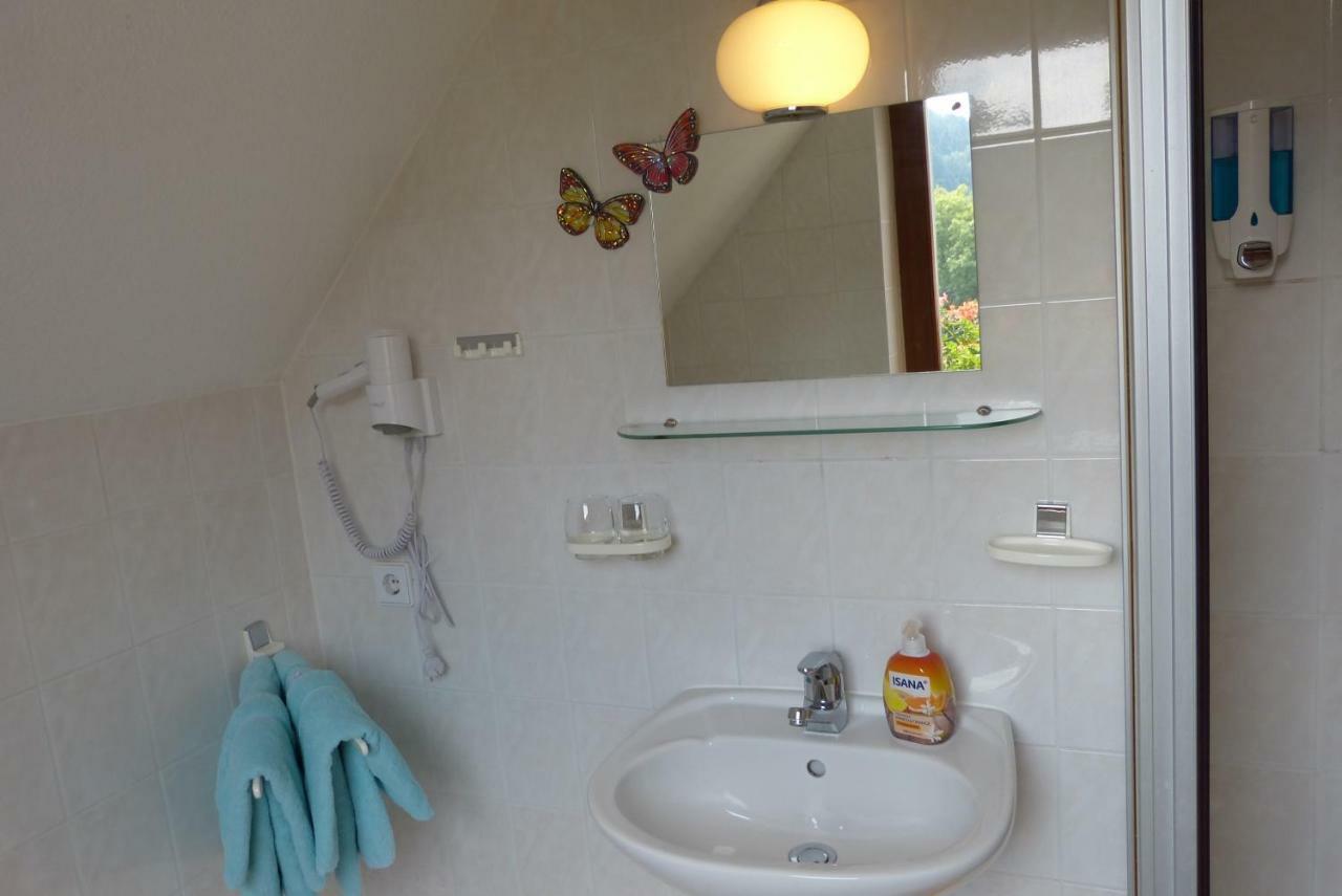 Pension Johannistal Sebnitz Extérieur photo