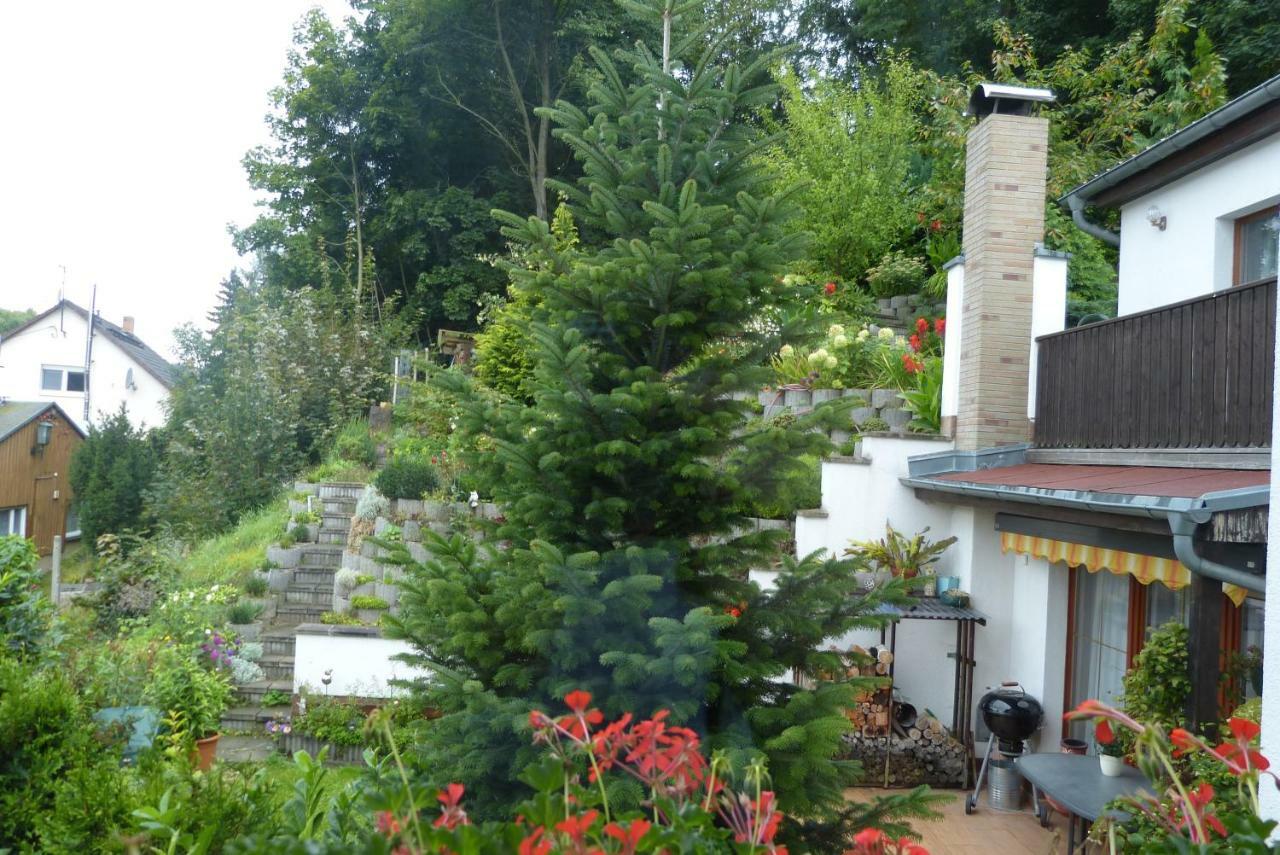 Pension Johannistal Sebnitz Extérieur photo